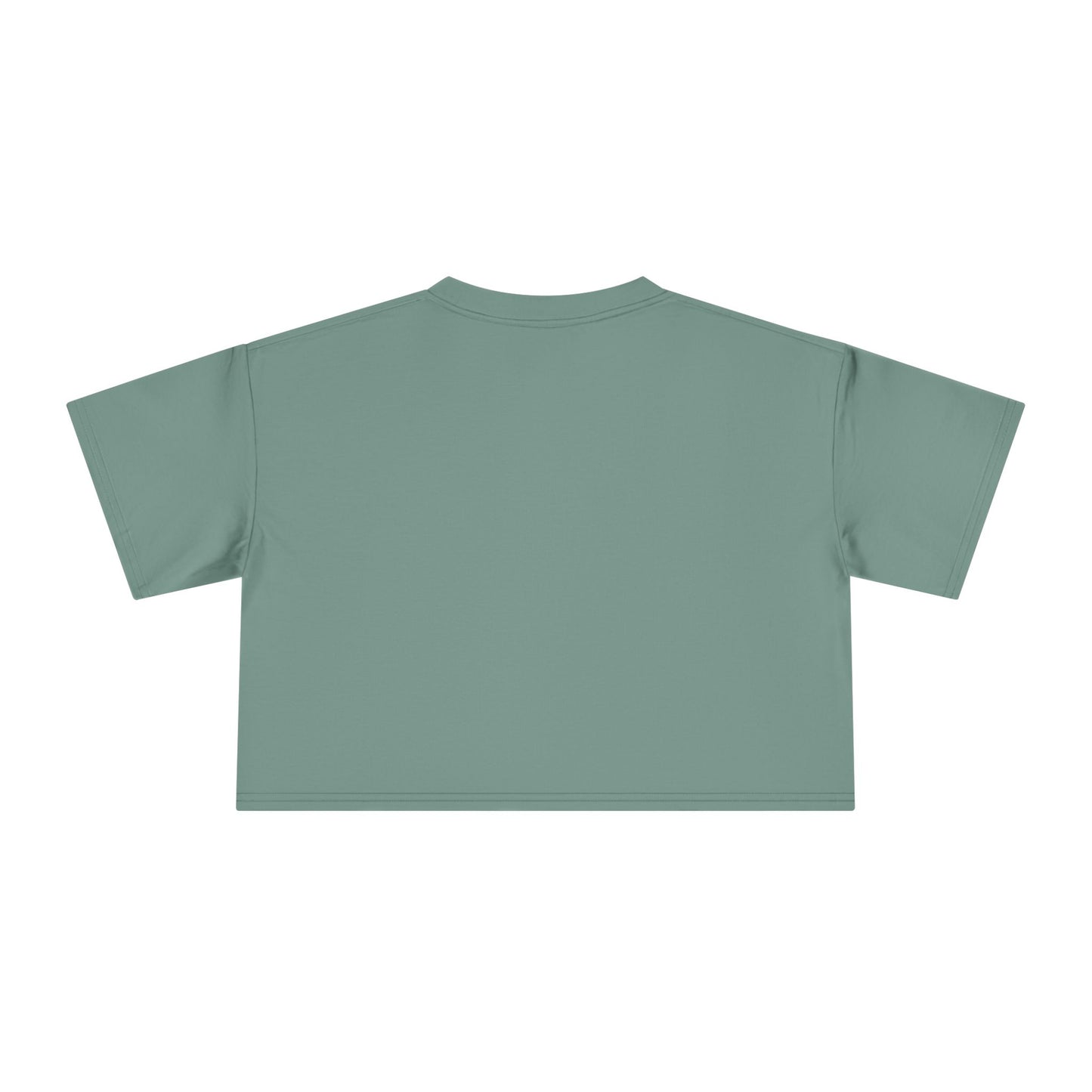 “Snacks & Sarcasm” Crop Tee- Funny Flight Attendant Shirt, Sassy Lounge Crop Top for Aviation Lovers or Snack Queens