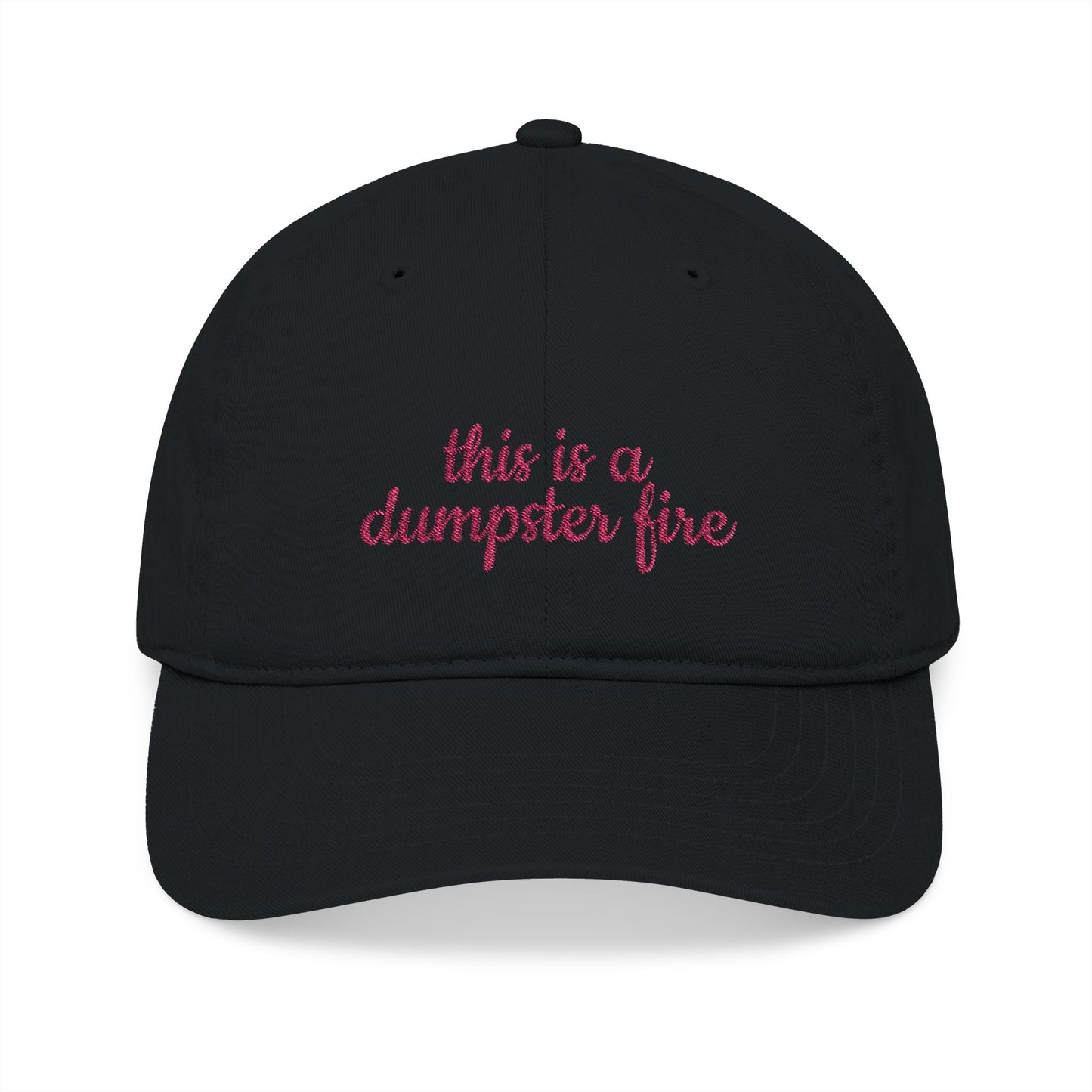 Organic Embroidered Baseball Cap - Humorous Gift, Casual Style, Unisex Hat, Summer Accessory, Everyday Wear, Funny Cap