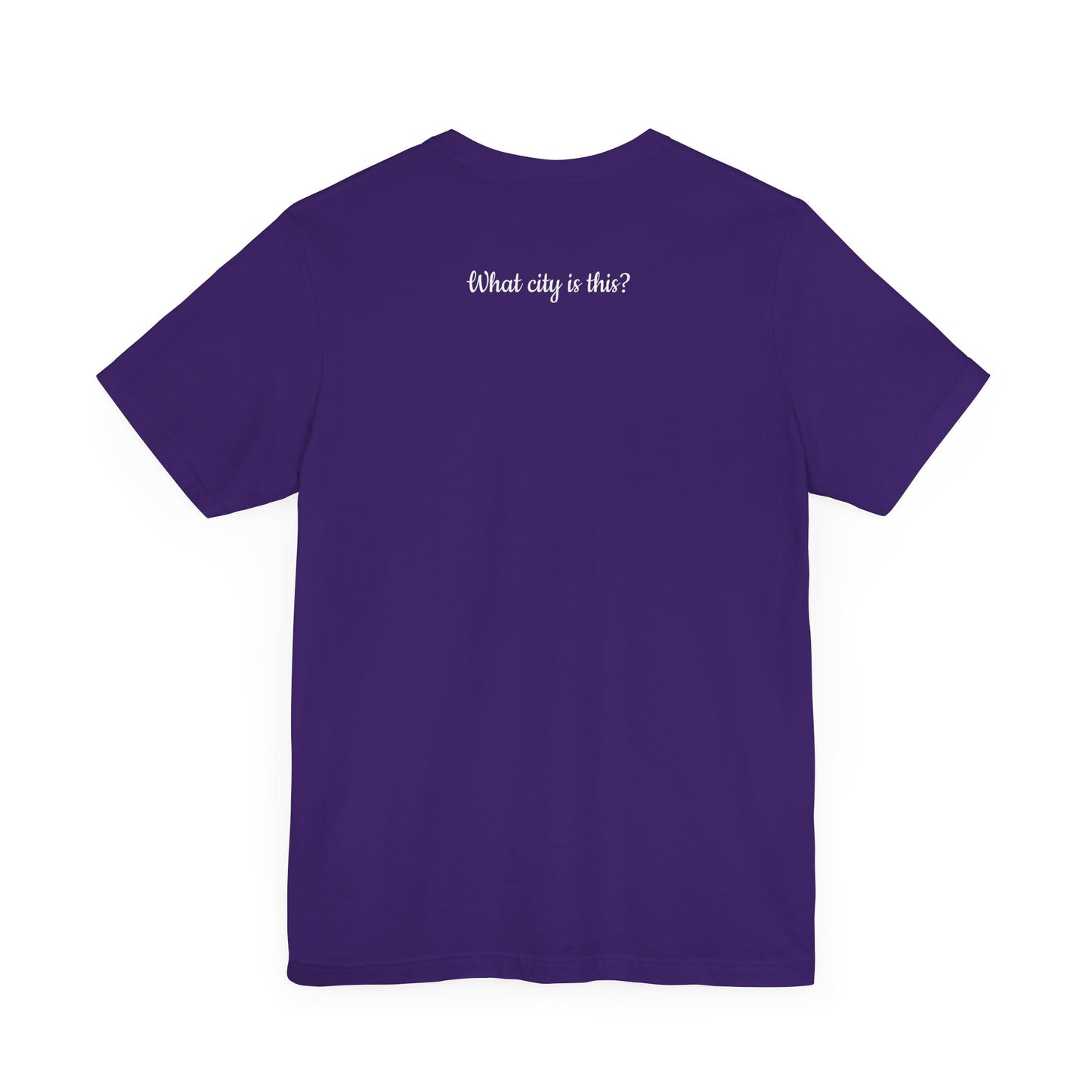Flight Attendant City Tee, Travel Shirt, Gift for Travelers, Comfortable Unisex Tee, Adventure Outfit, Wanderlust Apparel