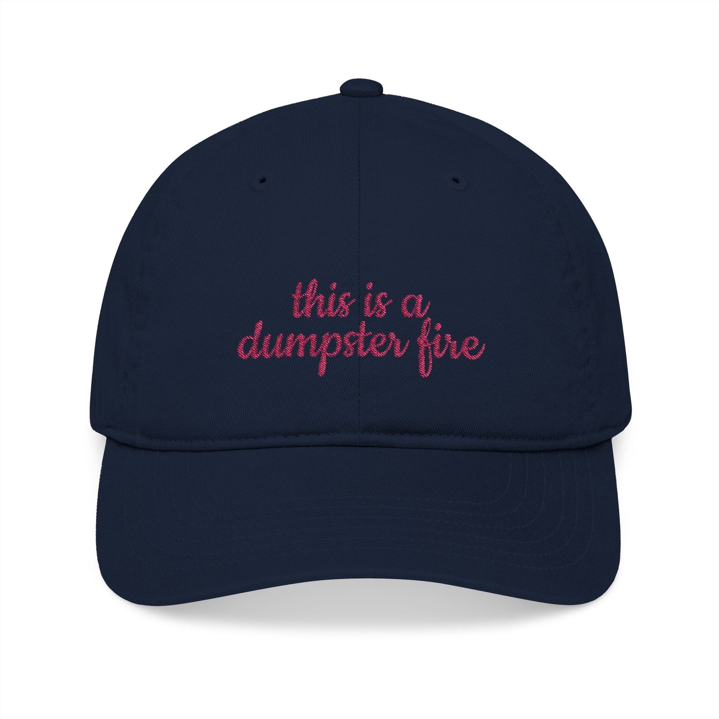 Organic Embroidered Baseball Cap - Humorous Gift, Casual Style, Unisex Hat, Summer Accessory, Everyday Wear, Funny Cap