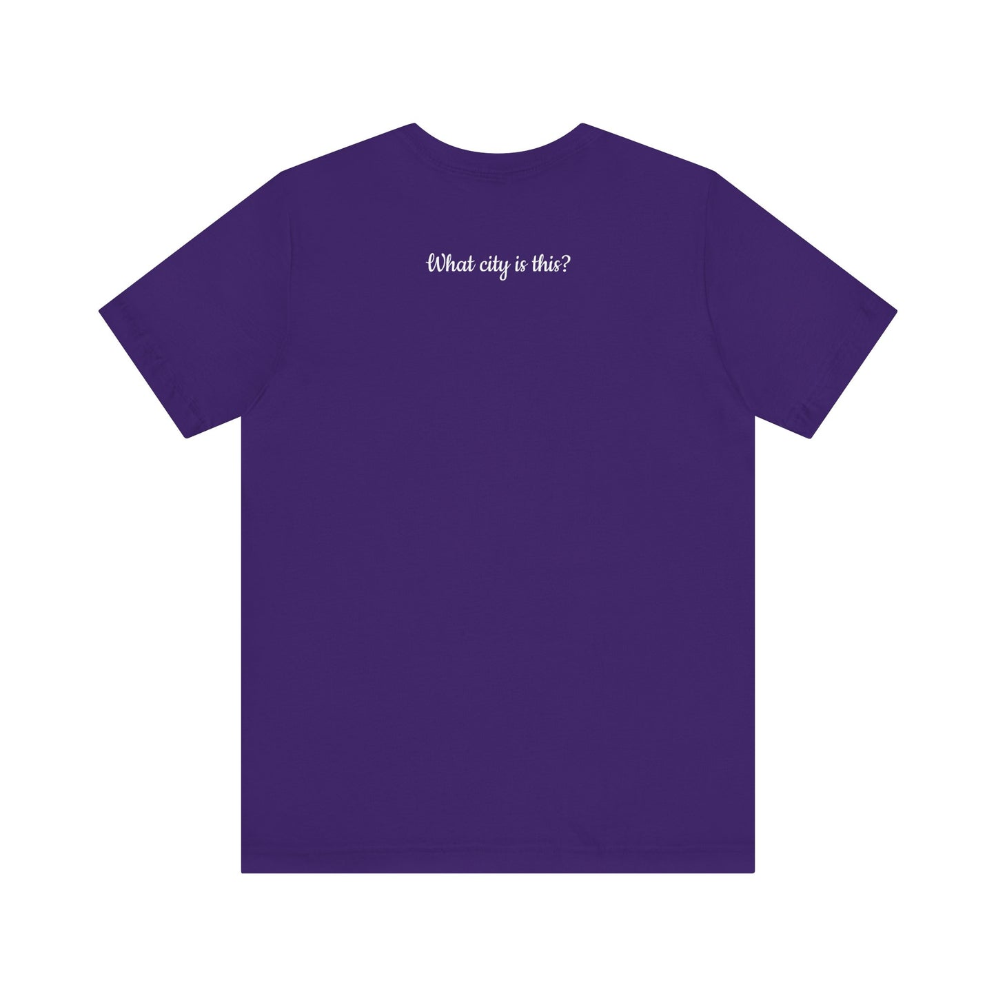 Flight Attendant City Tee, Travel Shirt, Gift for Travelers, Comfortable Unisex Tee, Adventure Outfit, Wanderlust Apparel