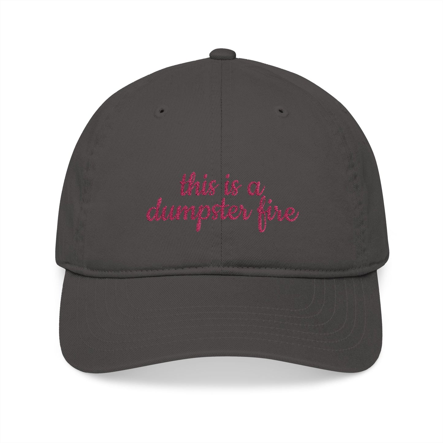 Organic Embroidered Baseball Cap - Humorous Gift, Casual Style, Unisex Hat, Summer Accessory, Everyday Wear, Funny Cap